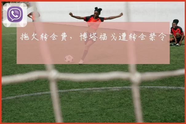 拖欠转会费,博塔福戈遭转会禁令