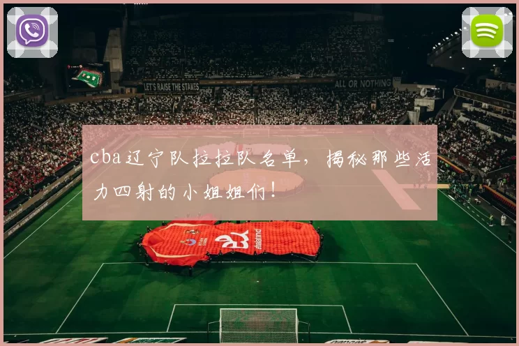 cba辽宁队拉拉队名单，揭秘那些活力四射的小姐姐们！