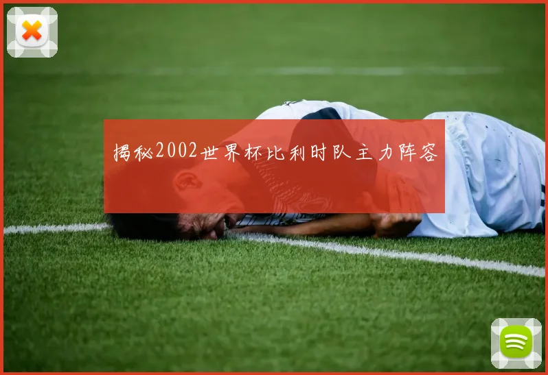 揭秘2002世界杯比利时队主力阵容