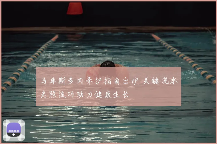 马库斯多肉养护指南出炉 关键浇水光照技巧助力健康生长