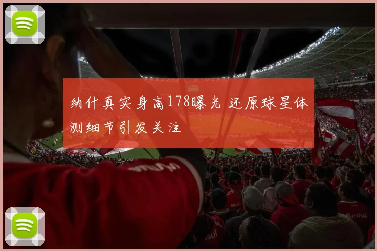 纳什真实身高178曝光 还原球星体测细节引发关注