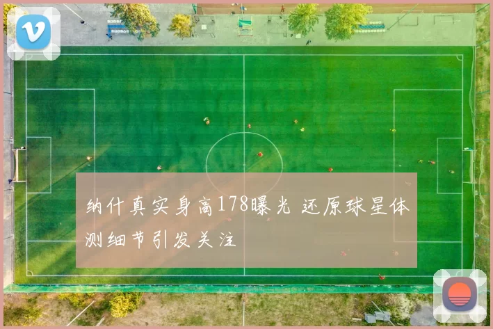 纳什真实身高178曝光 还原球星体测细节引发关注